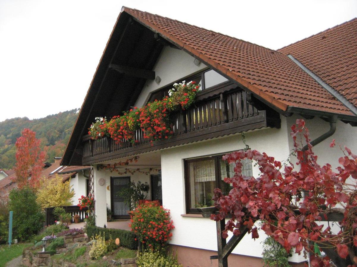 Ferienwohnungen Haus Albert Grossheubach Exterior foto