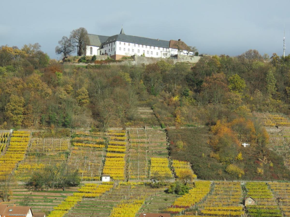 Ferienwohnungen Haus Albert Grossheubach Exterior foto